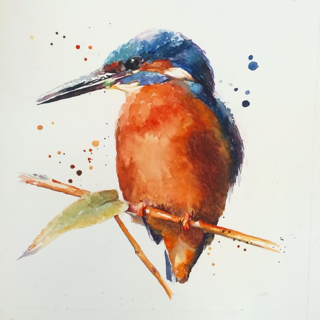 Sarah Stokes - Painting Birds in Expressive Watercolour