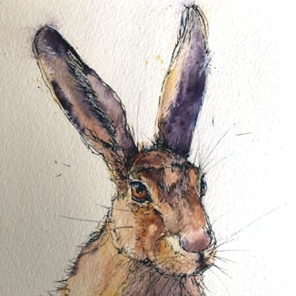 Bev Caleno - Hare in Ink and Watercolour***Only 2 Places Remaining***