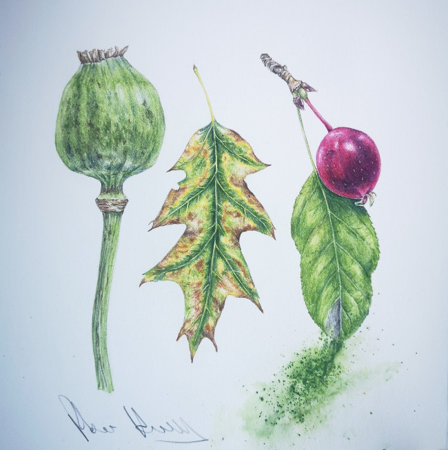 Amber Halsall - Coloured Pencils, Autumn Leaves***Only 1 Place Remaining***