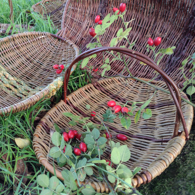 Jo hammond Willow Weaving Foragers' Basket-SORRY FULLY BOOKED