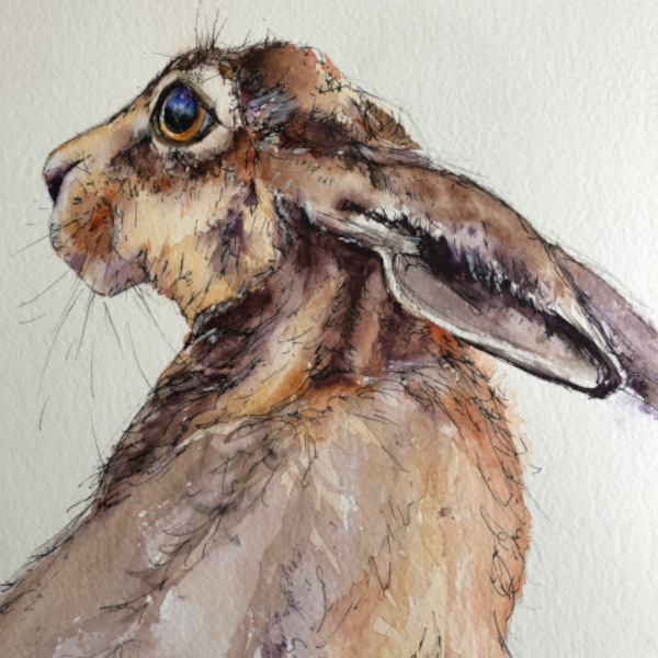 Bev Caleno - Beginners' Pen and Watercolour, Hare-SORRY FULLY BOOKED