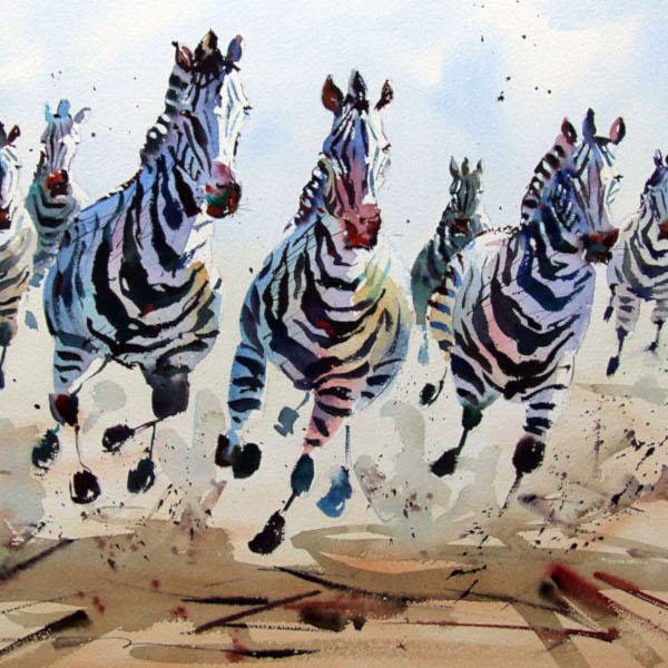 Jake Winkle - Running Zebras, movement in watercolour