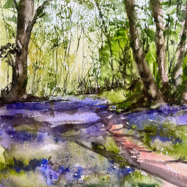 Bev Caleno - Beginners watercolour,  Bluebell woods and Silver Birch (two day course)