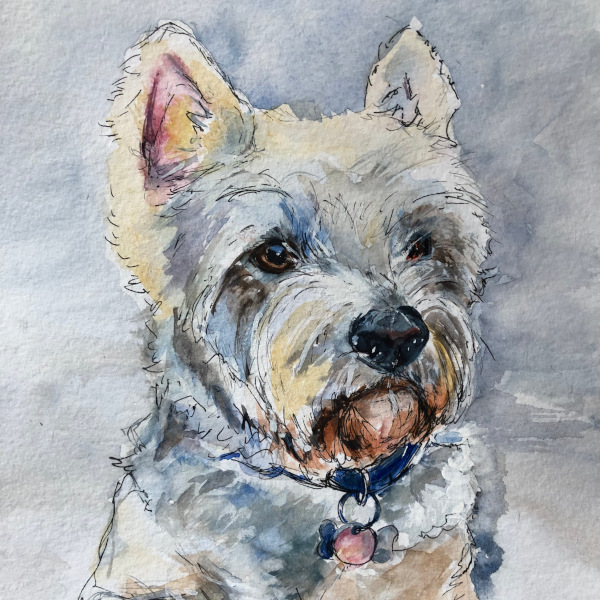 Bev Caleno - Pen and Watercolour Pet Portrait (new for 2026)