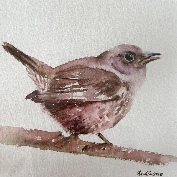 Bev Caleno - Beginners Watercolour, Wren and Garden Bird
